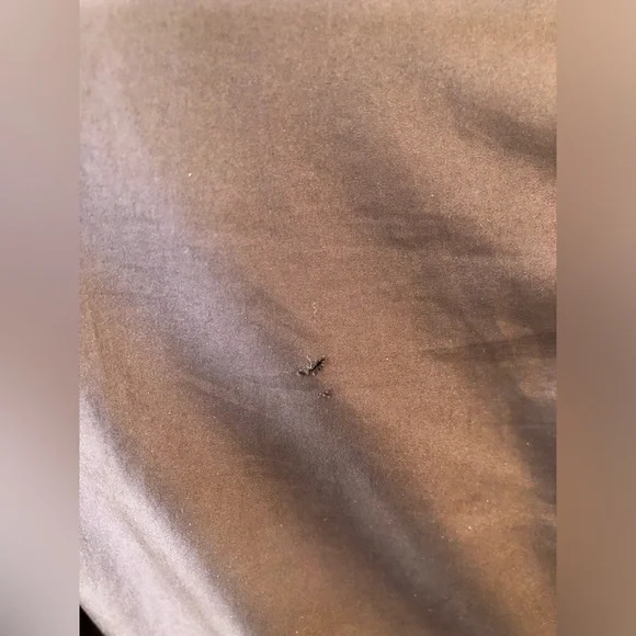 COOGI Vintage Women’s Belted Coat—Medium (Please see photos) - Picture 11 of 14